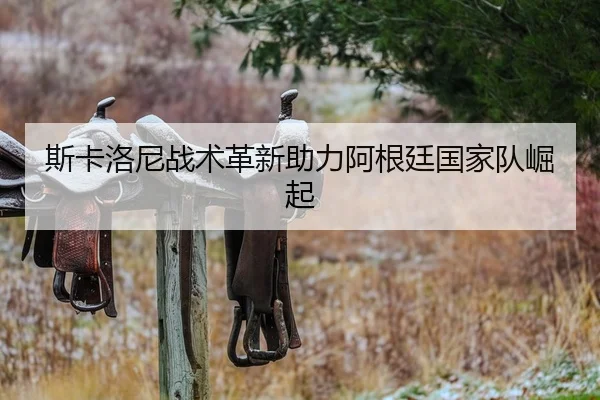 斯卡洛尼战术革新助力阿根廷国家队崛起